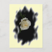 White Rose Burned Edges Briefkaart (Voorkant)
