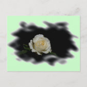 White Rose Burned Edges Briefkaart (Voorkant)