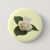 White Rose Button (Voorkant)