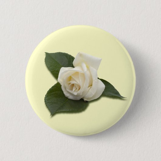 White Rose Button (Voorkant)