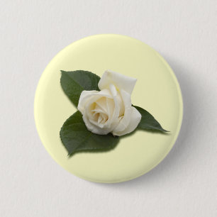 White Rose Button