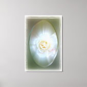 White Rose Canvas Afdruk (Voorkant)