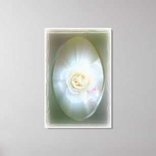 White Rose Canvas Afdruk