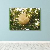 White Rose Canvas Afdruk (Insitu (Houten vloer))