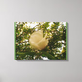 White Rose Canvas Afdruk (Voorkant)