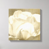 White Rose Canvas Afdruk (Voorkant)