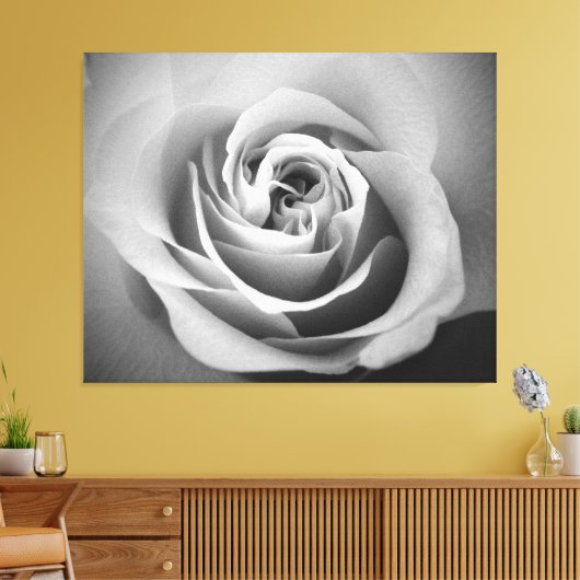 White Rose Canvas Afdruk (Insitu (Woonkamer))