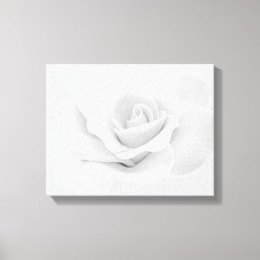 White Rose Canvas afdrukken (Voorkant)