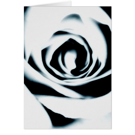 White Rose Card (Voorkant)