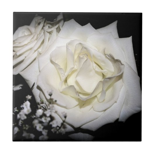 White Rose Ceramic Tile Tegeltje (Voorkant)