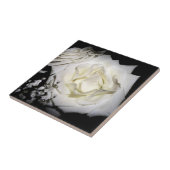 White Rose Ceramic Tile Tegeltje (Zijkant)