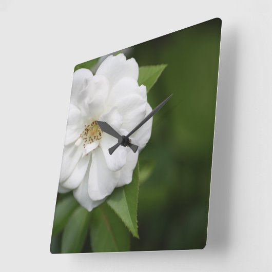 White Rose Clock Vierkante Klok (Hoek)