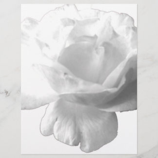 White Rose Design