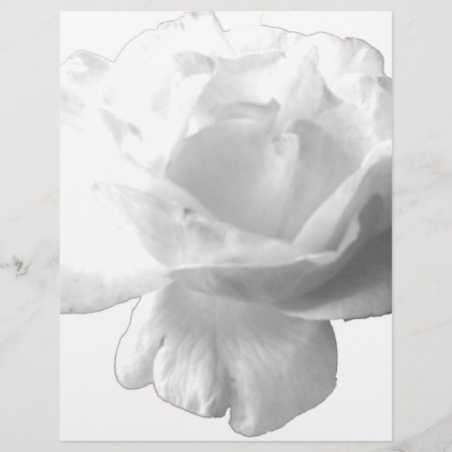 White Rose Design (Voorkant)