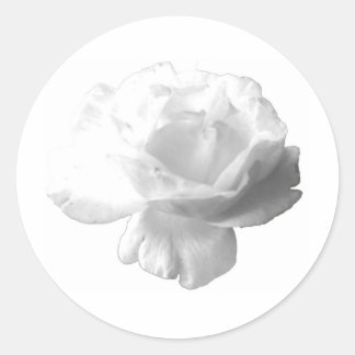 White Rose Design Ronde Sticker