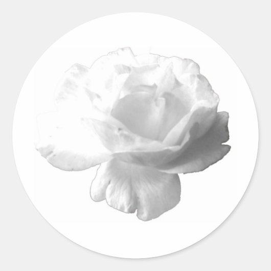 White Rose Design Ronde Sticker (Voorkant)