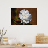 White Rose en betekenis Poster (Keuken)