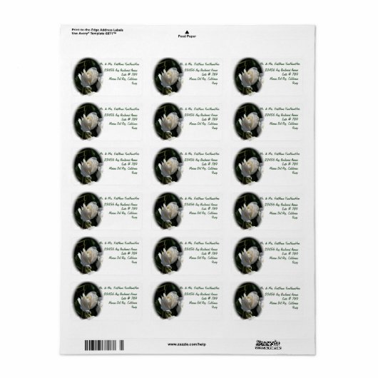 White Rose Etiket (Full Sheet)