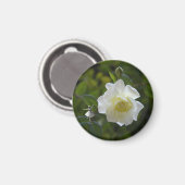 White Rose Fairy Magneet (Voorkant / Achterkant)