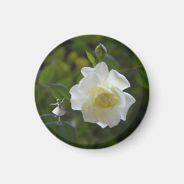 White Rose Fairy Magneet