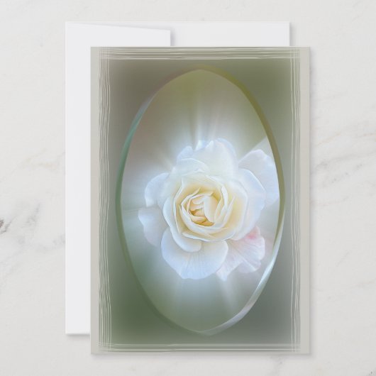 White Rose Feestdagenkaart (Voorkant)