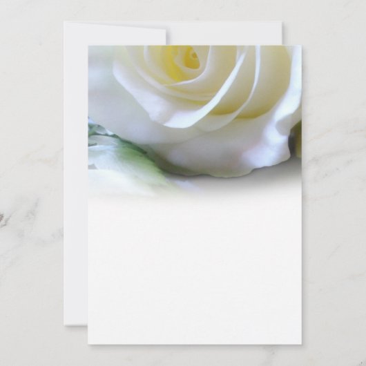 White Rose Floral Memorial Funeral Service Aankondiging (Achterkant)