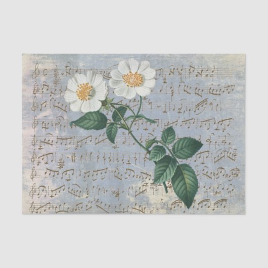 White Rose Floral Music  Blue Tissue Paper Tissuepapier (Voorkant)