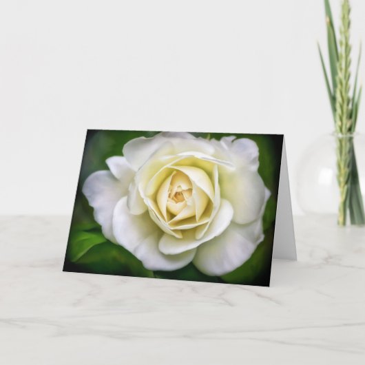 White Rose Flower Art Blank Note Kaart (Voorkant)
