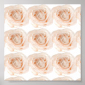 White Rose Flower Poster (Voorkant)