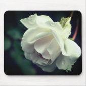 White Rose Flower Raindrop Muismat (Voorkant)
