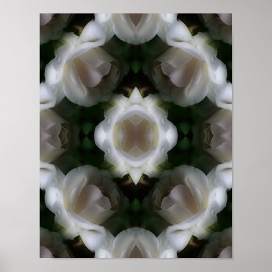 White Rose Flowers Abstract Poster (Voorkant)