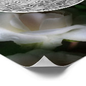 White Rose Flowers Lijst Uw eigen foto toevoegen Poster (Hoek)