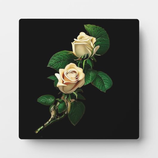 White Rose Fotoplaat (Voorkant)