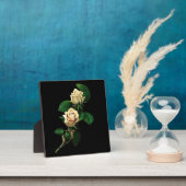 White Rose Fotoplaat (Insitu)