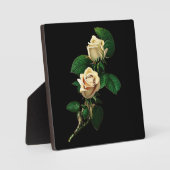 White Rose Fotoplaat (Voorkant)