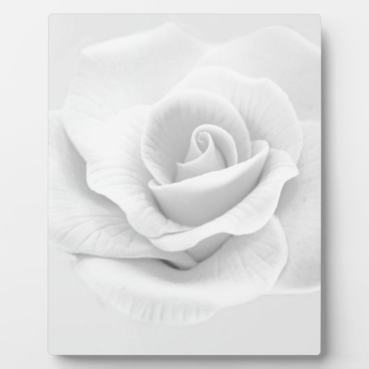 White Rose Fotoplaat (Voorkant)