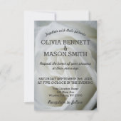 White Rose getextureerde bruiloft Kaart (Voorkant)