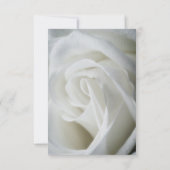 White Rose getextureerde bruiloft Kaart (Achterkant)