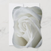 White Rose getextureerde bruiloft Kaart (Achterkant)