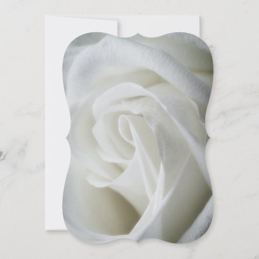 White Rose getextureerde bruiloft Kaart (Achterkant)