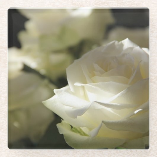 White Rose - Glass Onderzetter (Voorkant)
