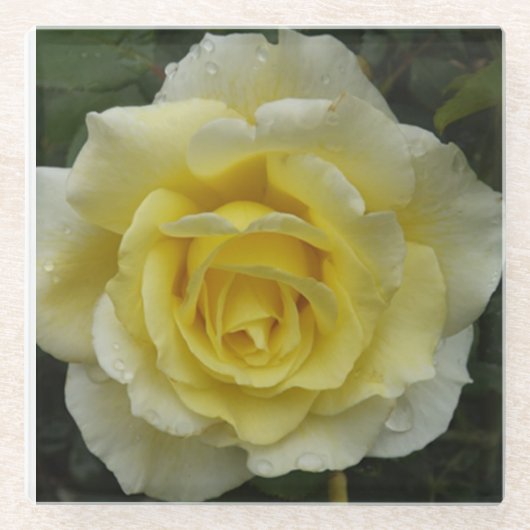 White Rose Glass Onderzetter (Voorkant)