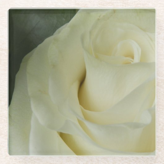 White Rose Glazen Onderzetter (Voorkant)