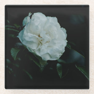 White Rose Glazen Onderzetter