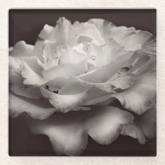 White Rose Glazen Onderzetter (Voorkant)