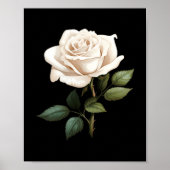 White Rose Graphic  Poster (Voorkant)