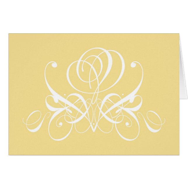 White Rose in Sunshine (Voorkant Horizontaal)