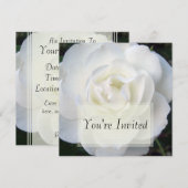 White Rose Invitations Kaart (Voorkant / Achterkant)