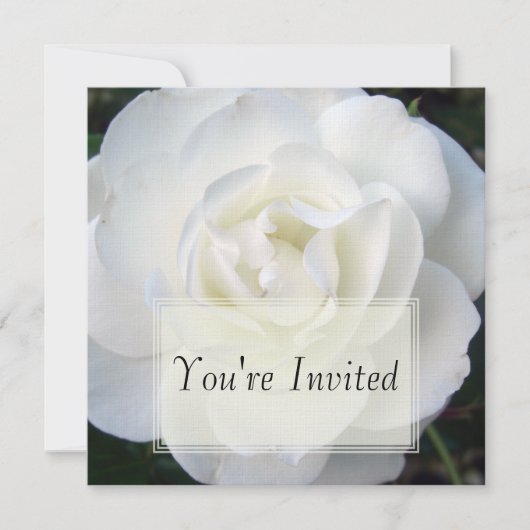 White Rose Invitations Kaart (Voorkant)