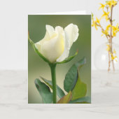White Rose Kaart (Gele Bloem)